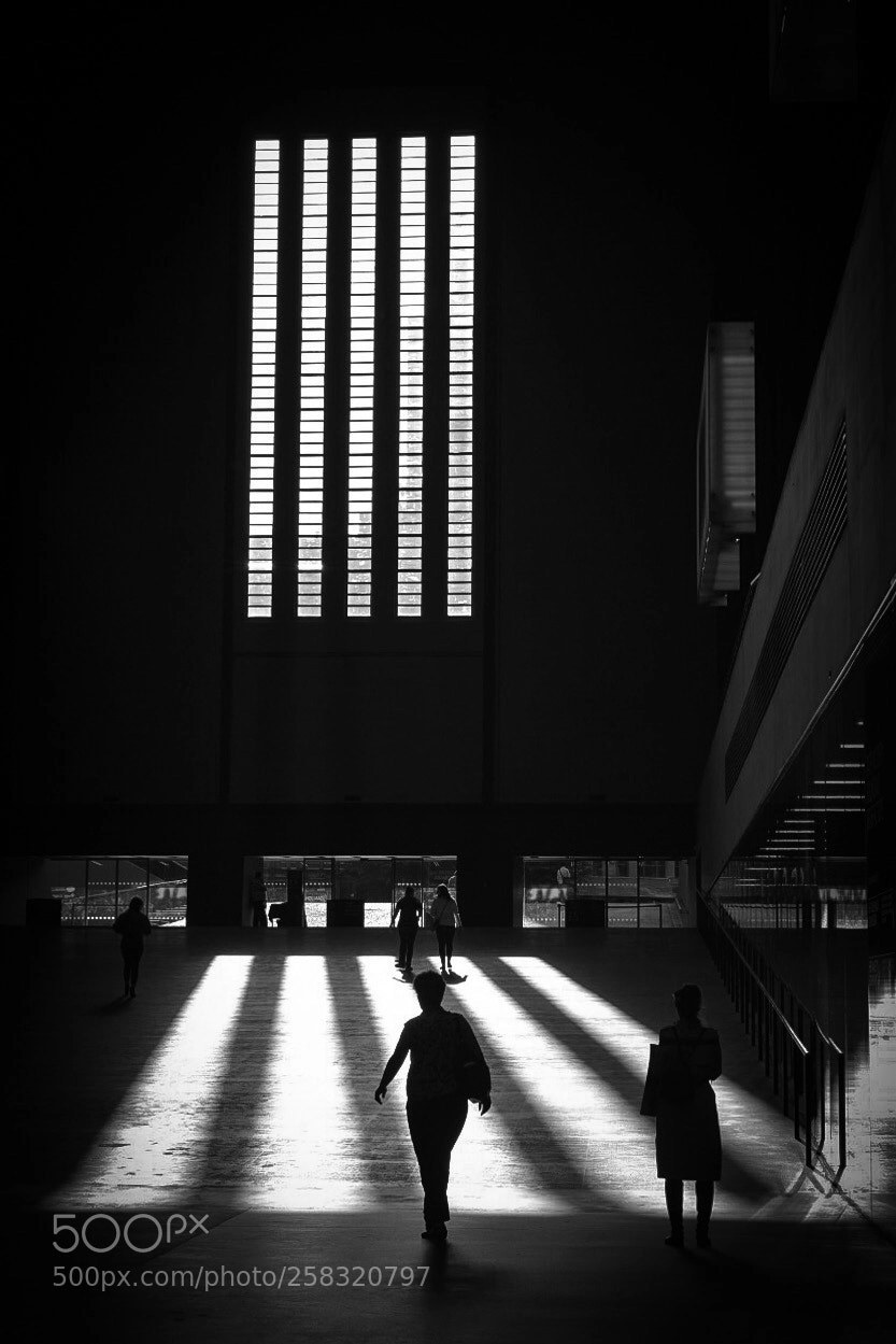 Nikon D750 sample photo. Shadows  photography