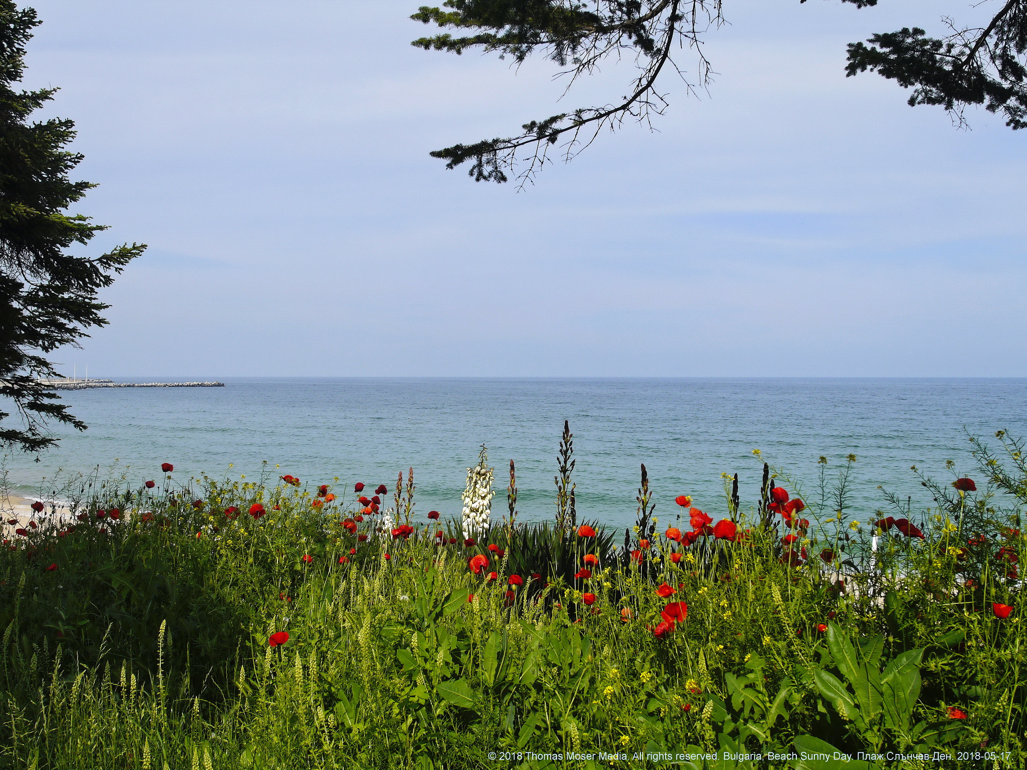 Panasonic Lumix DMC-G3 sample photo. Spring beach colours photography