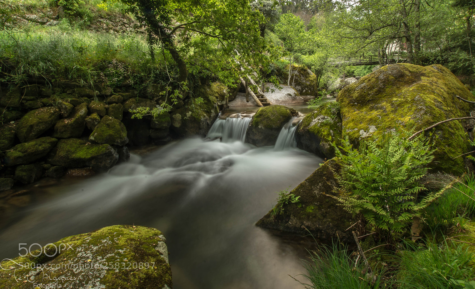 Nikon D7200 sample photo. The magic of water photography