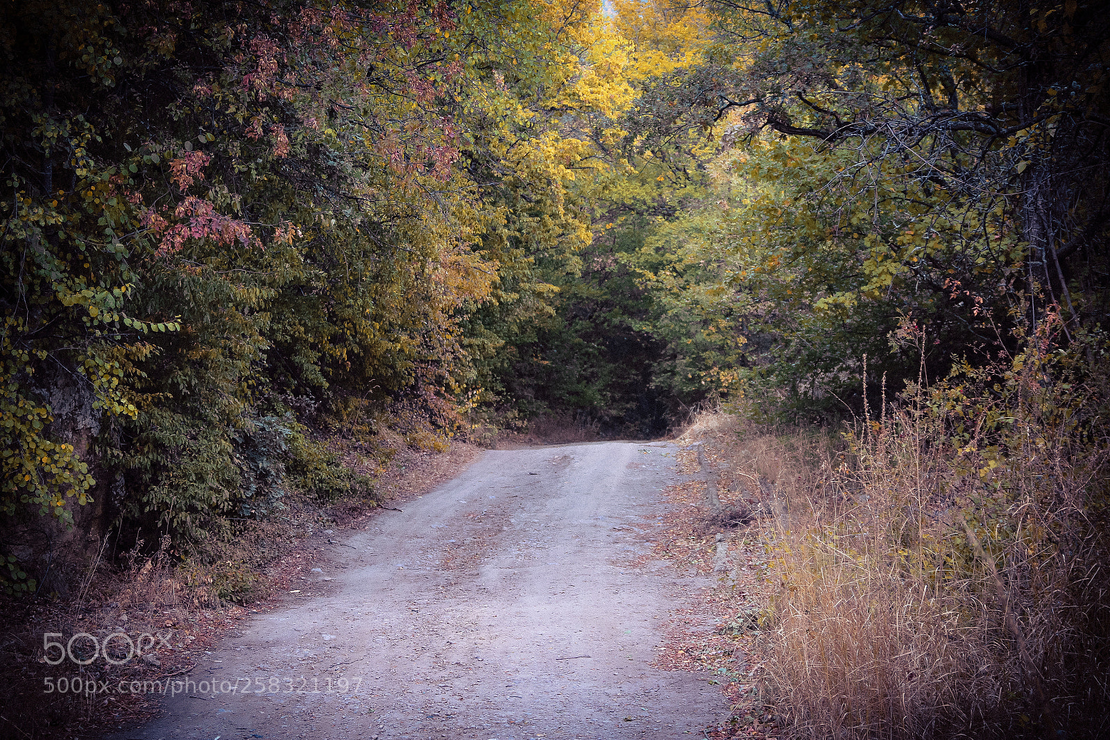 Canon EOS 600D (Rebel EOS T3i / EOS Kiss X5) sample photo. Autumn rural trail photography
