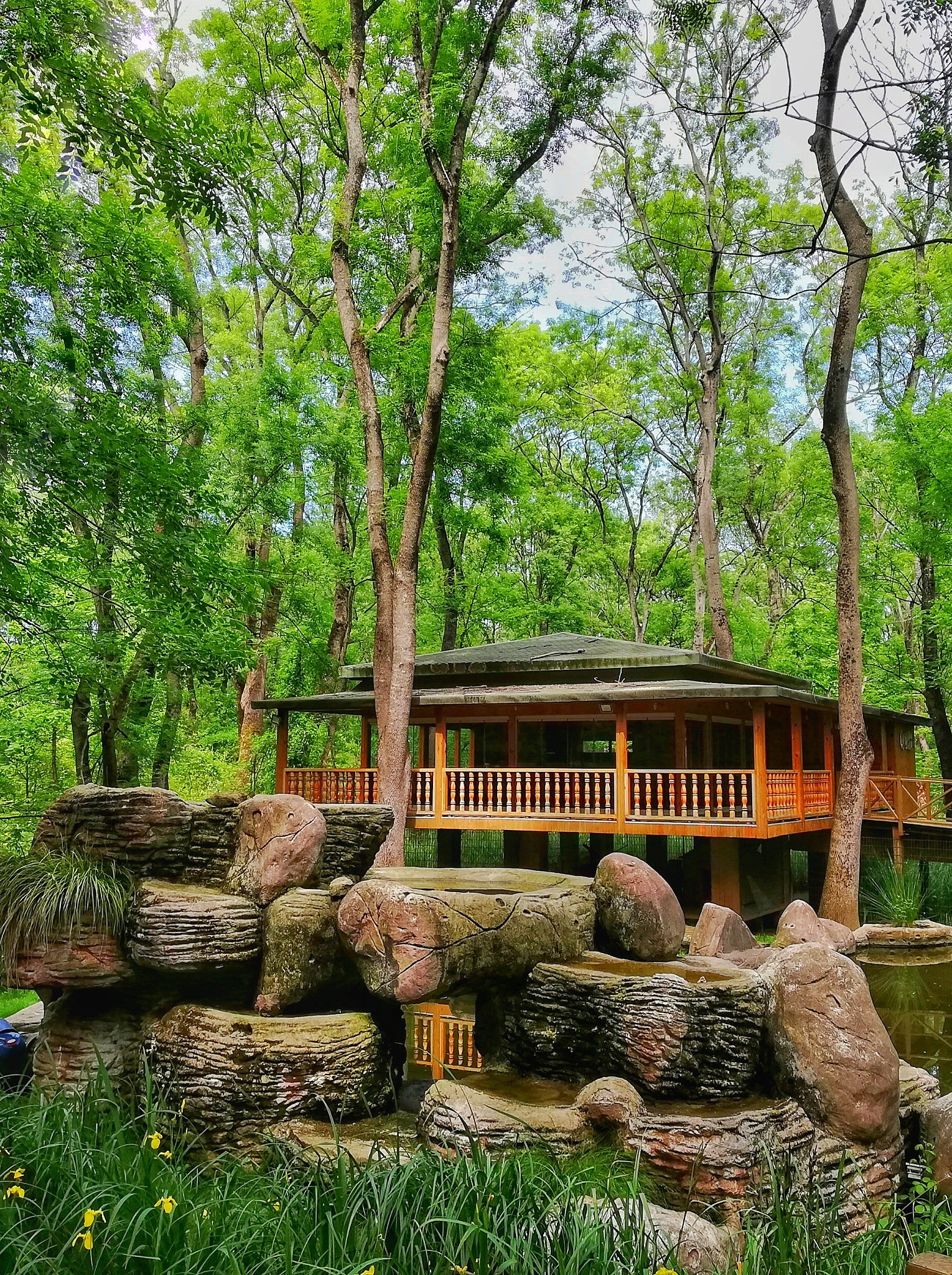 HUAWEI Mate 10 Lite sample photo