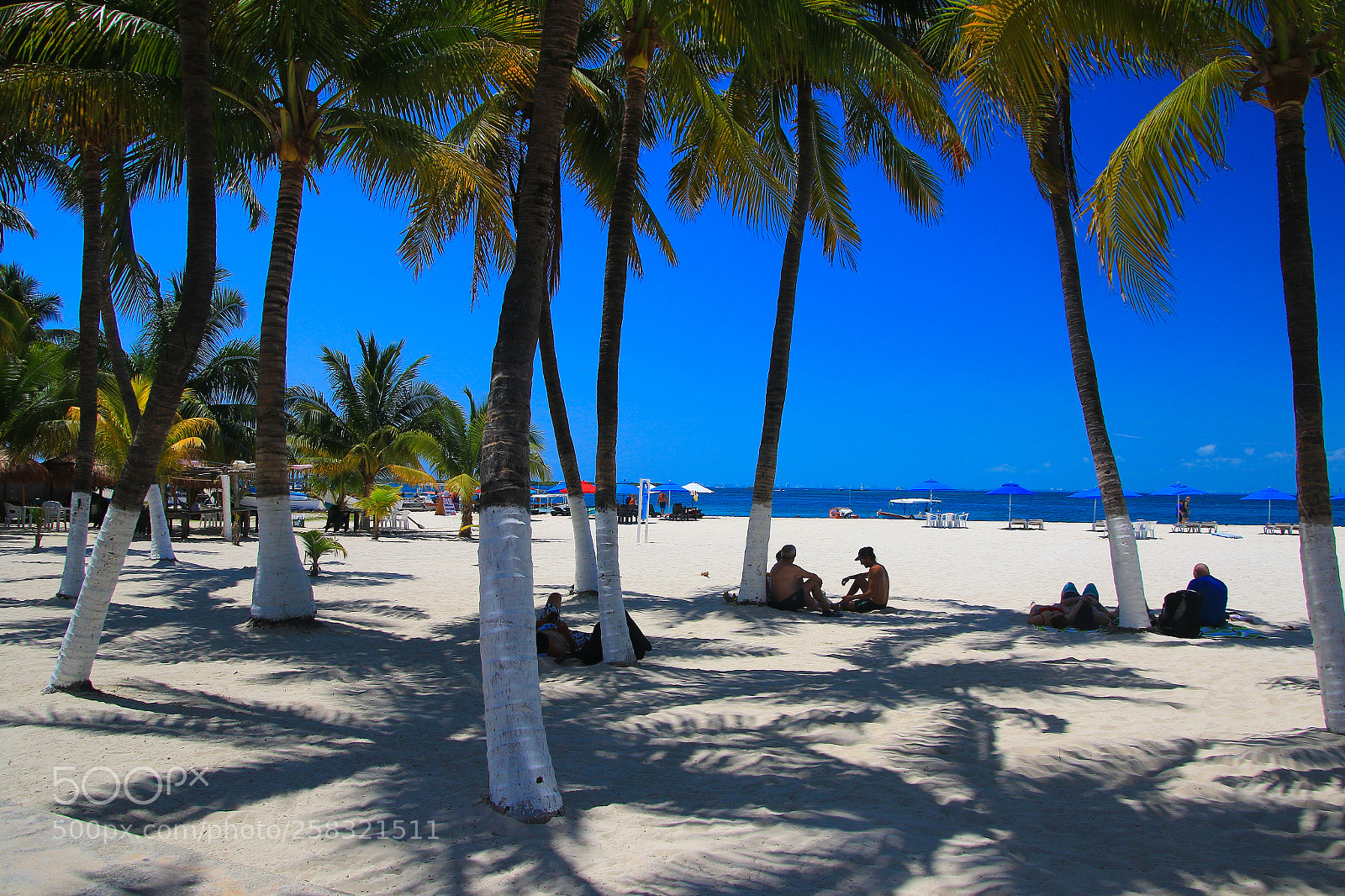 Canon EOS 7D Mark II sample photo. Mexico photography