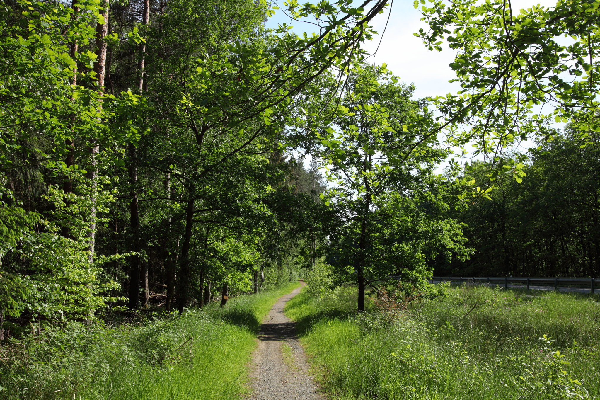 Canon EOS 5D Mark II sample photo. The old bikeway photography