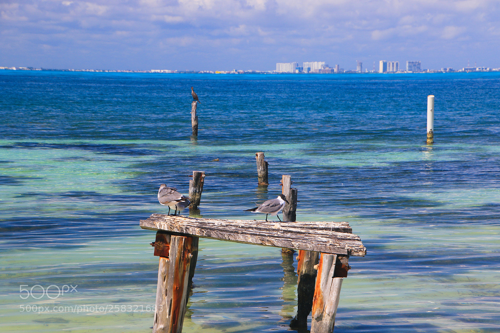 Canon EOS 7D Mark II sample photo. Mexico photography