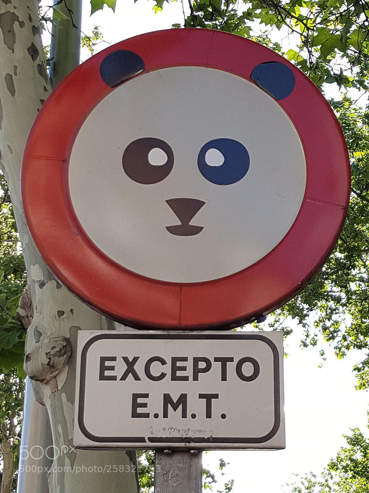 Samsung GALAXY S6 edge sample photo. Panda (yipi yipi yeah) photography