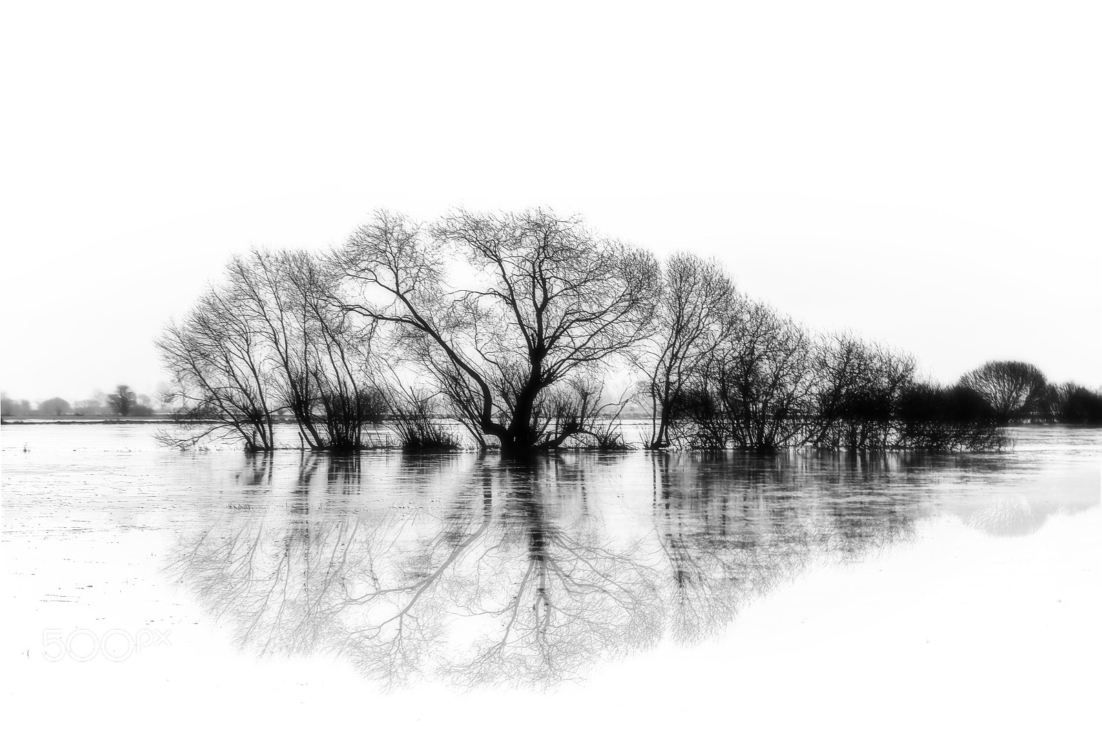 Nikon D800 sample photo. W mmewiesen - bremen photography