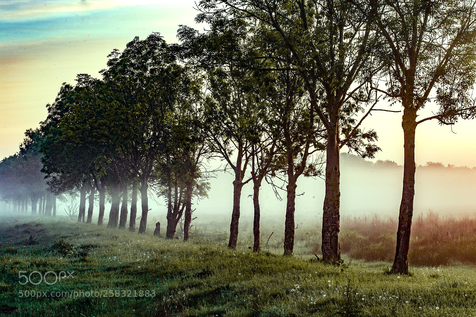 Canon EOS 6D sample photo. Rode beek photography