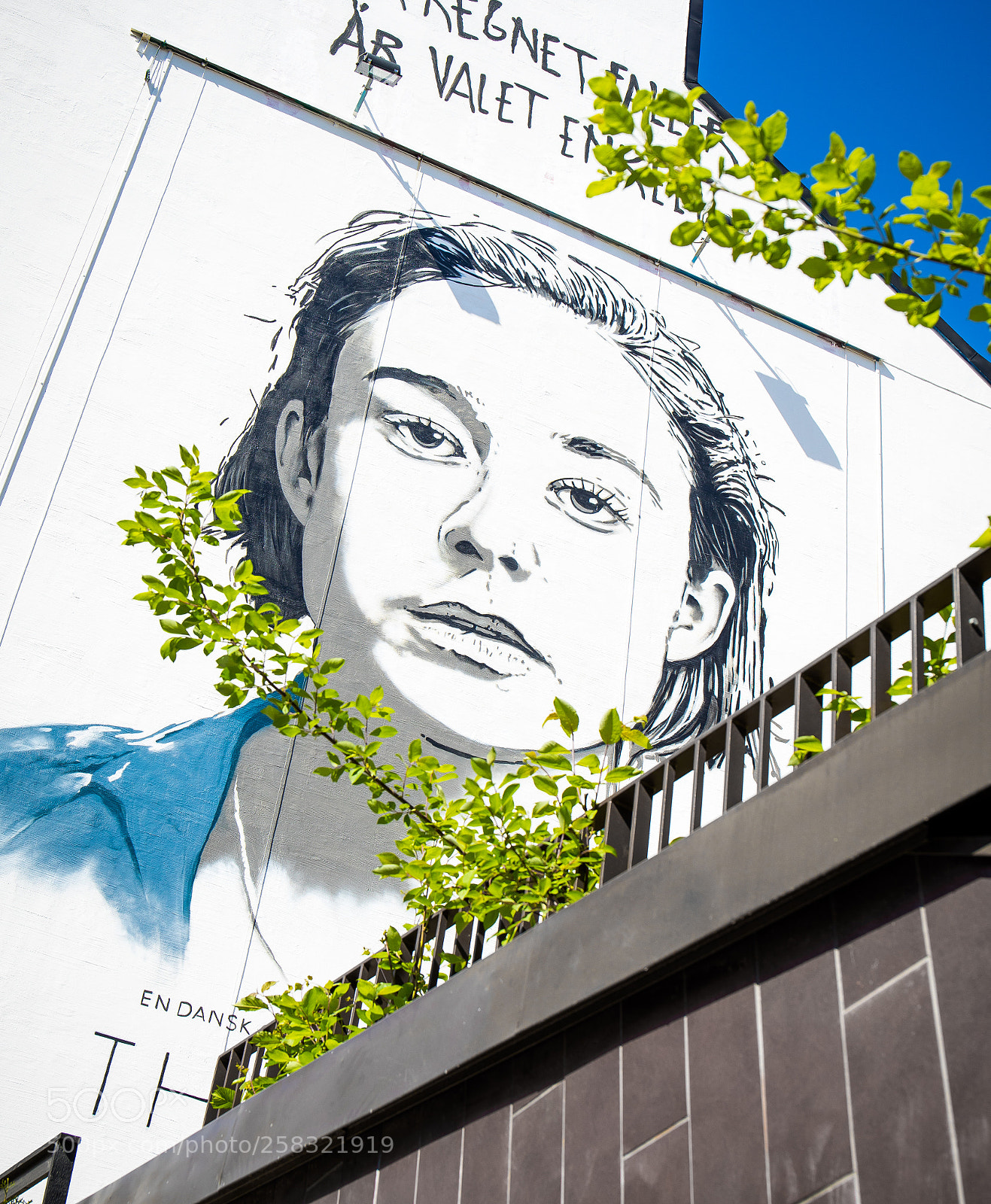 Canon EOS 5D Mark IV sample photo. Mural photography