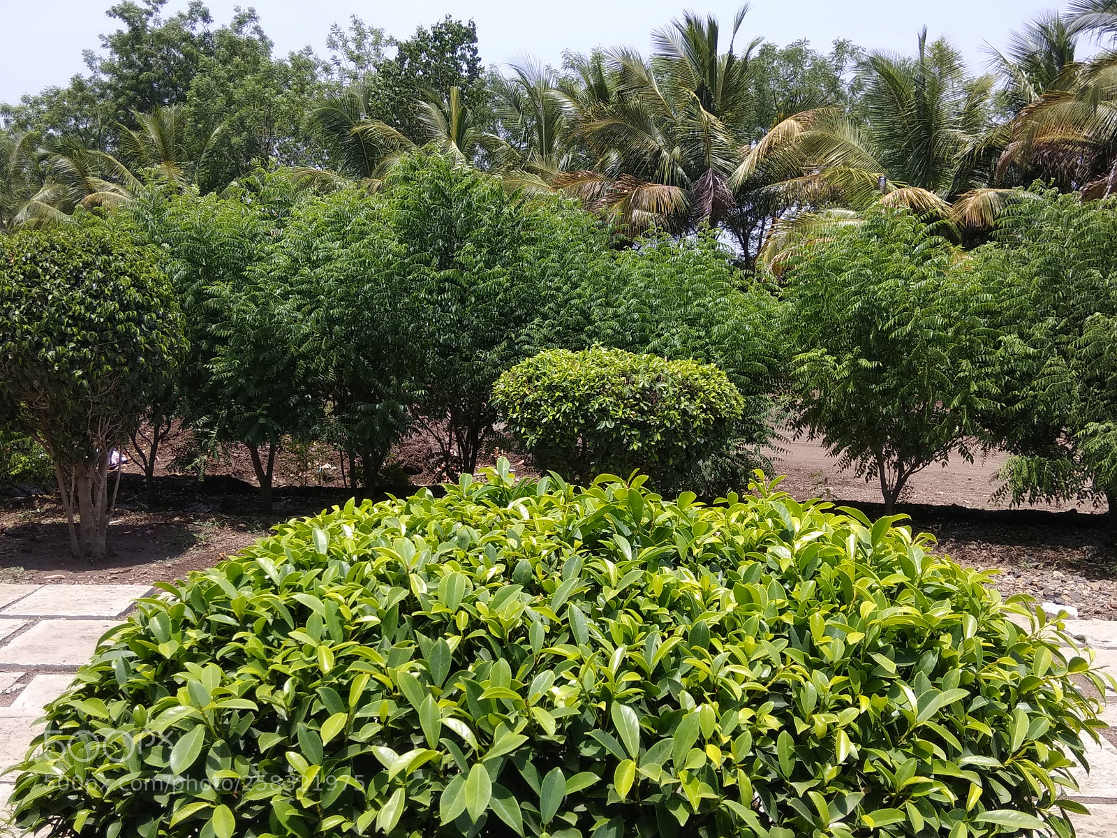 Xiaomi Redmi Note 4 sample photo. Untitled photography