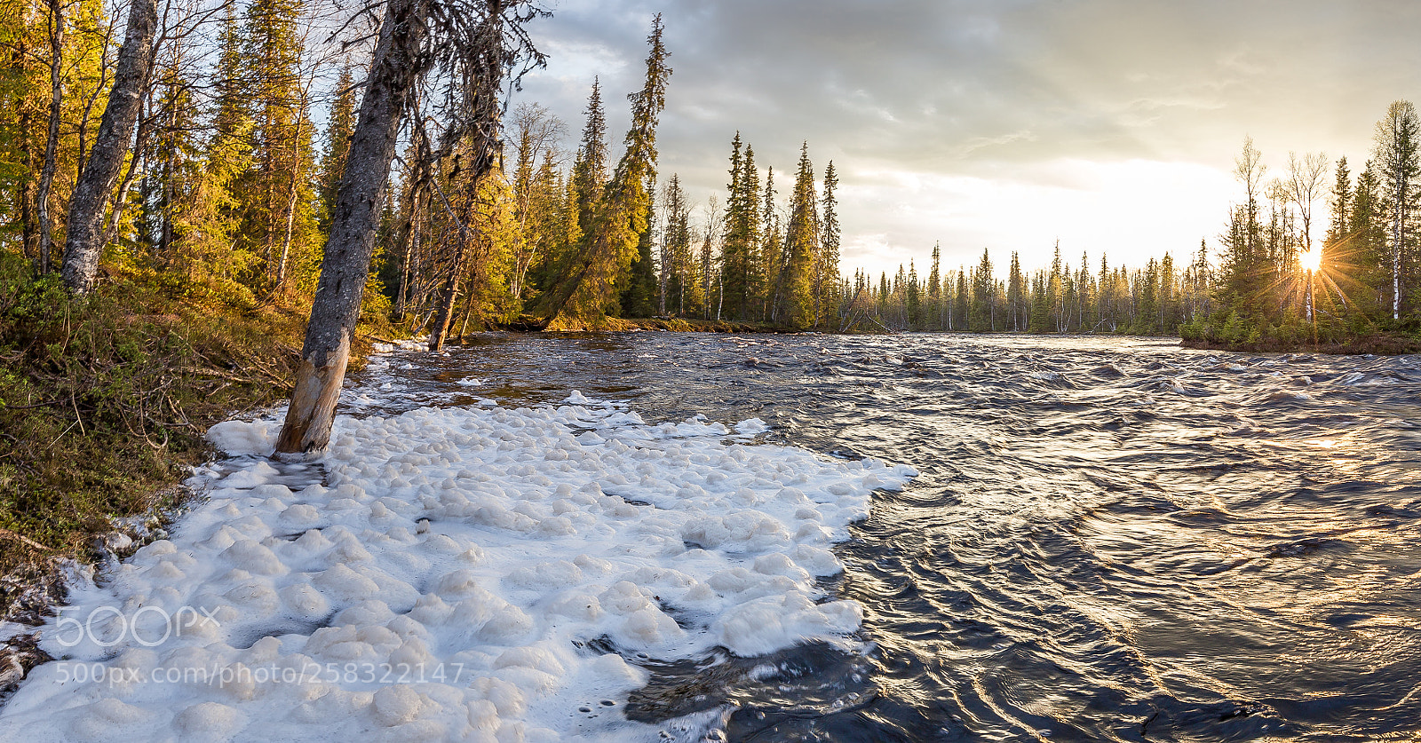 Canon EOS 6D sample photo. Foam on water surface photography