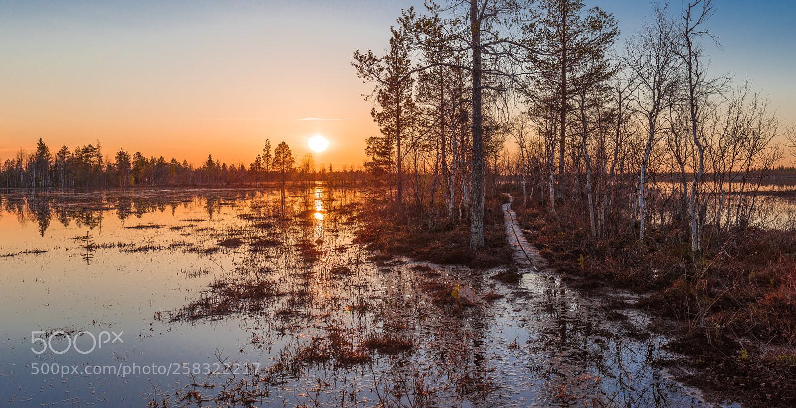 Canon EOS 6D sample photo. Flooding mire photography