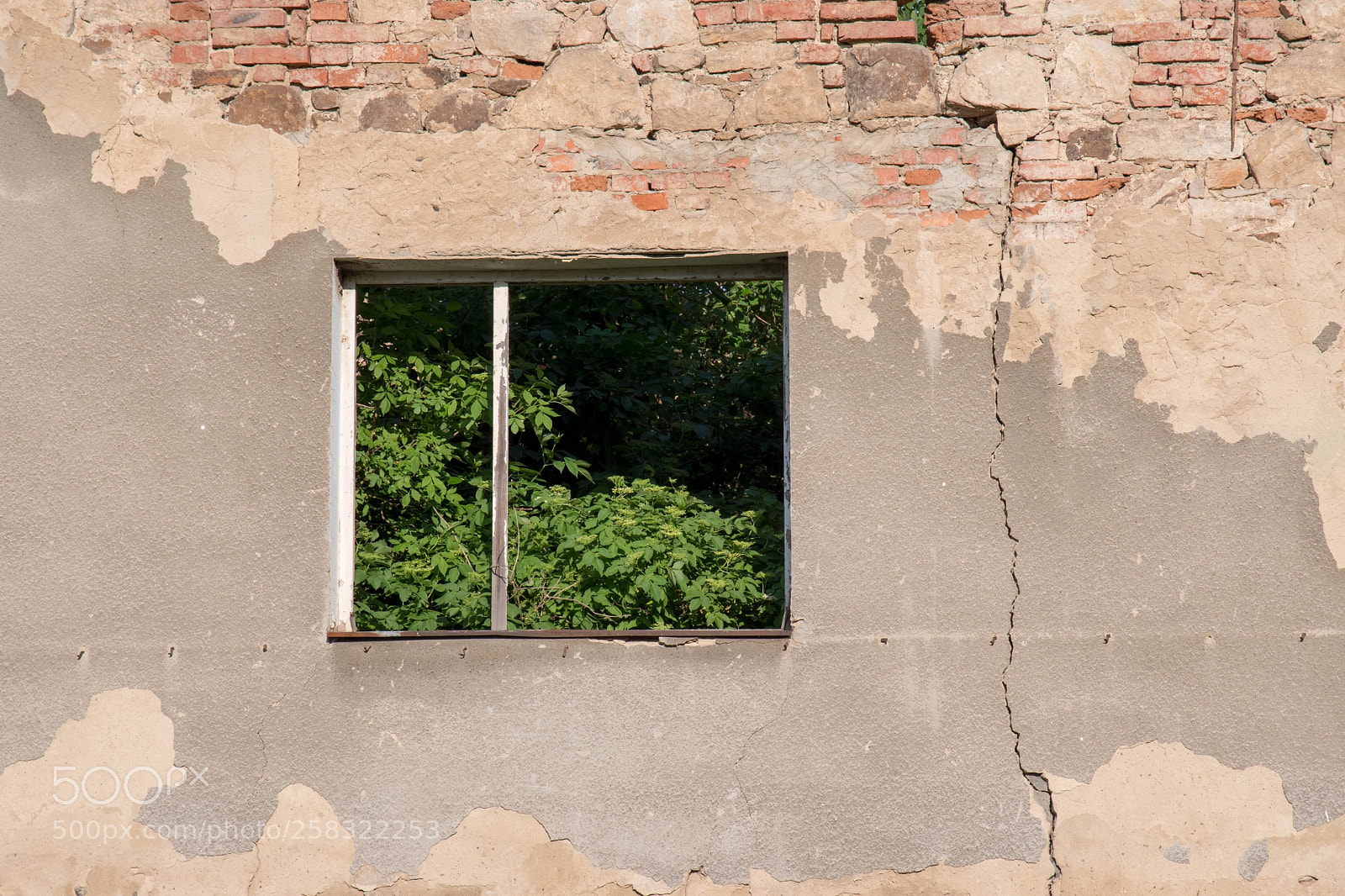 Pentax K-70 sample photo. Green window photography