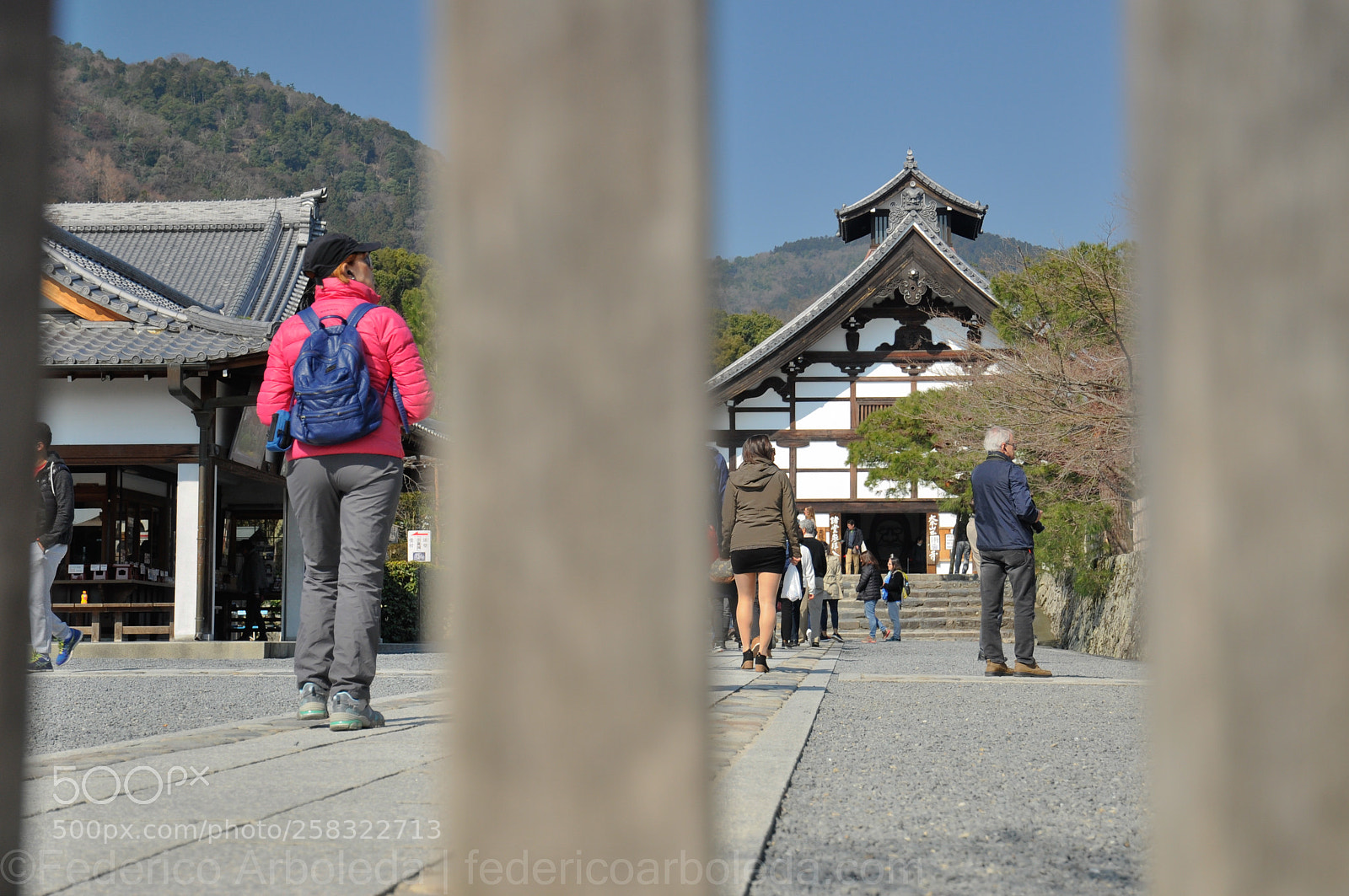 Nikon D90 sample photo. Her way is blocked photography