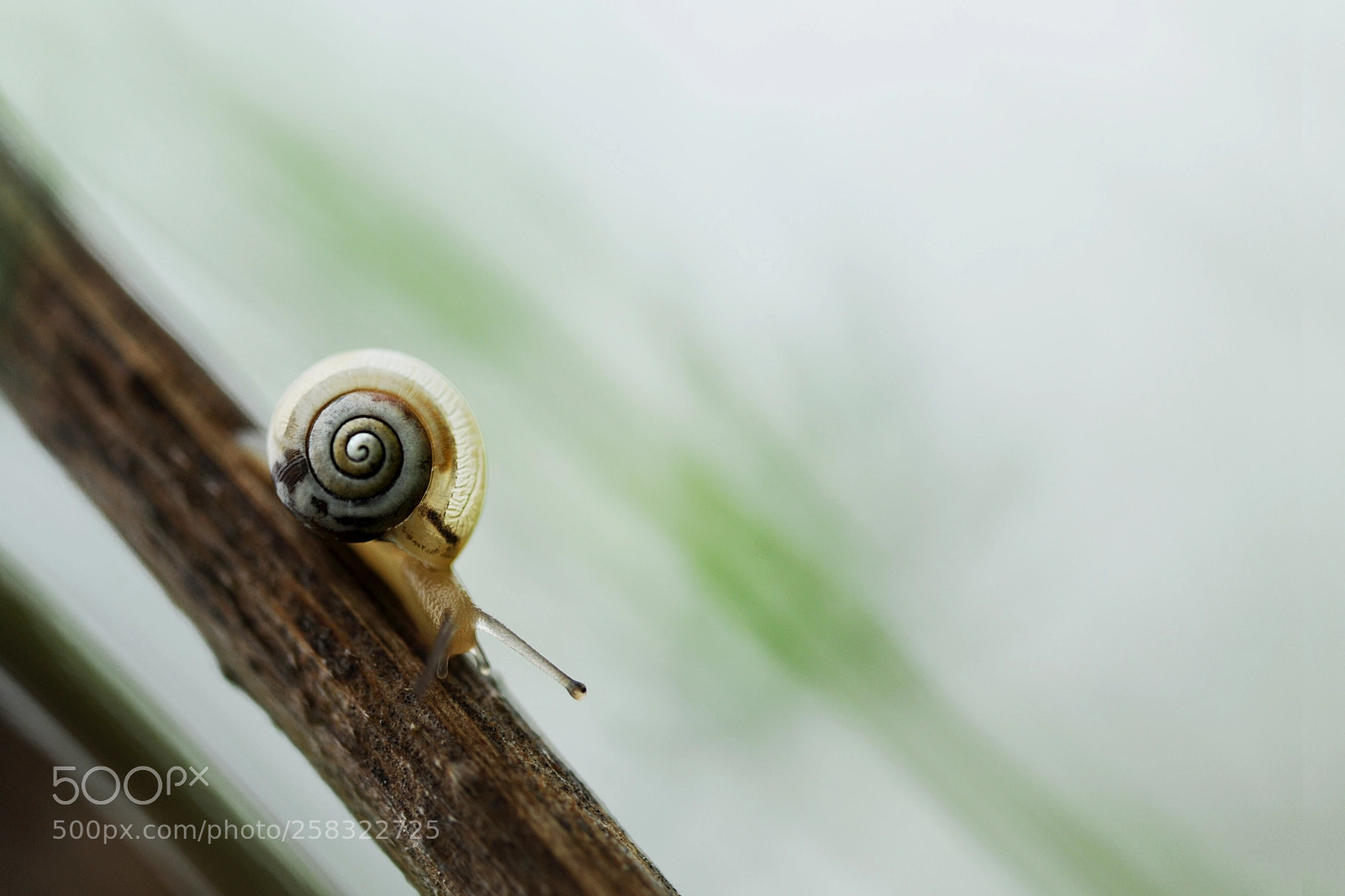 Nikon D700 sample photo. The discovery of slowness photography