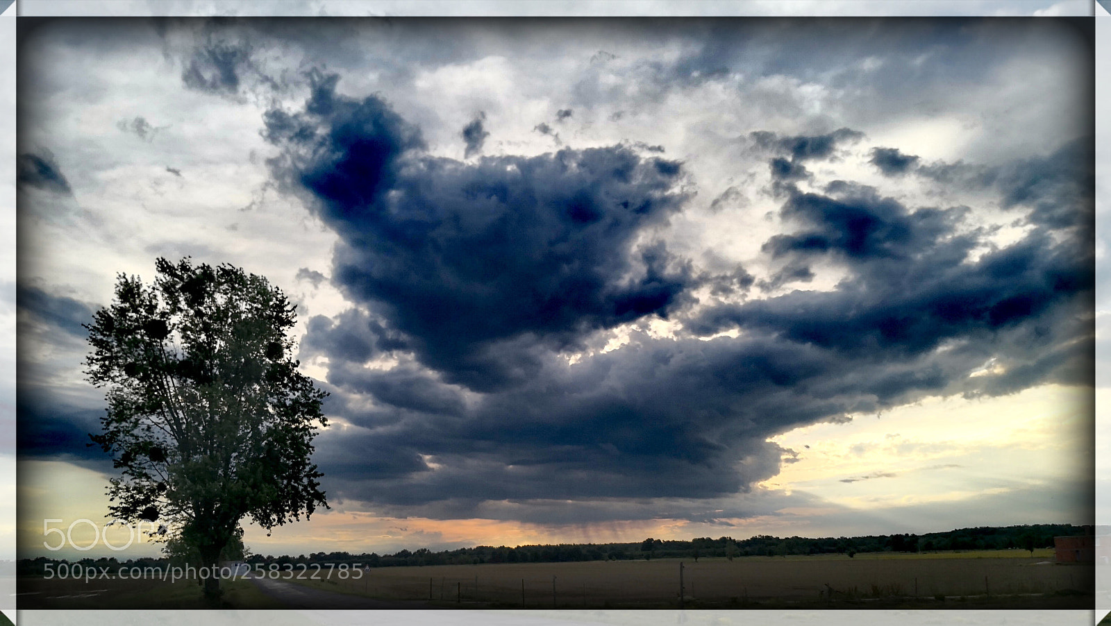 HUAWEI Mate 10 Pro sample photo. Rain at a distance photography