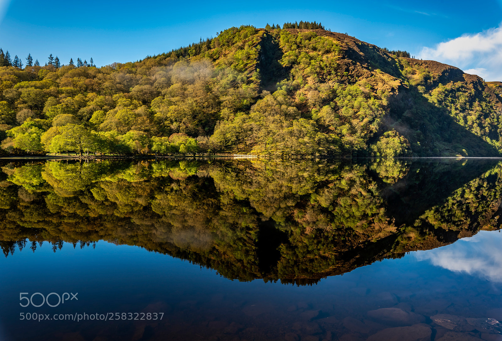 Nikon D810 sample photo. Natures mirror photography