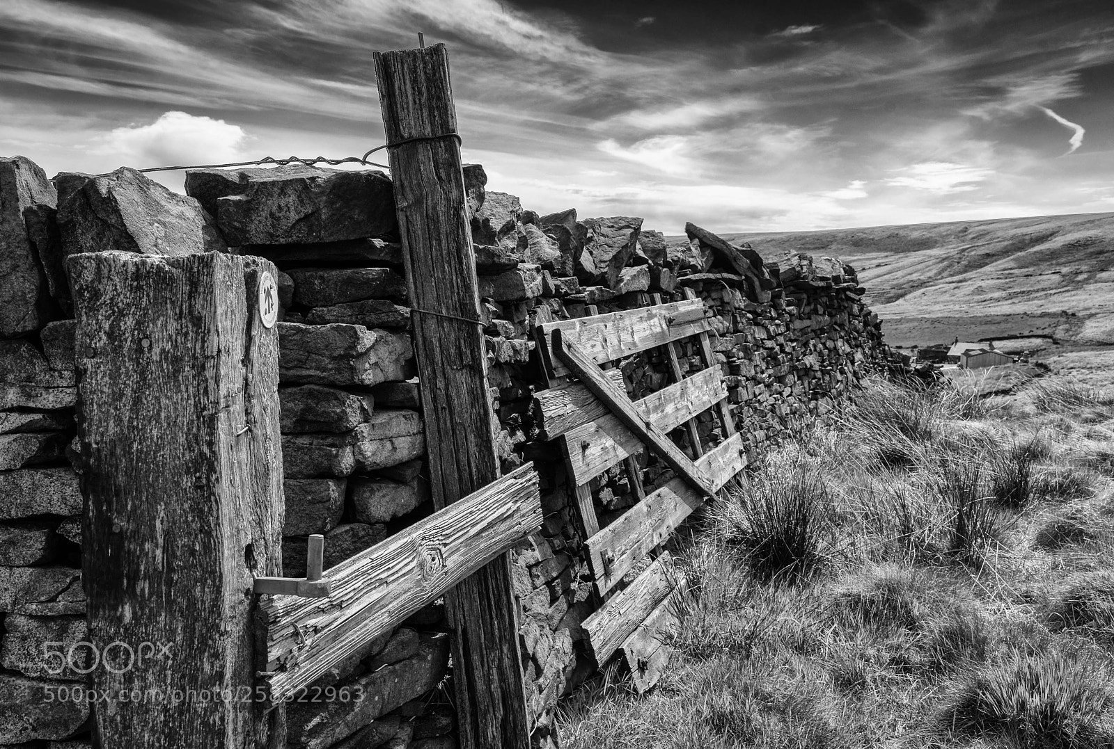 Nikon D7200 sample photo. Moorland posts photography