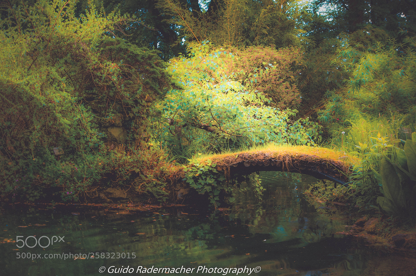 Pentax K-x sample photo. Small bridge photography