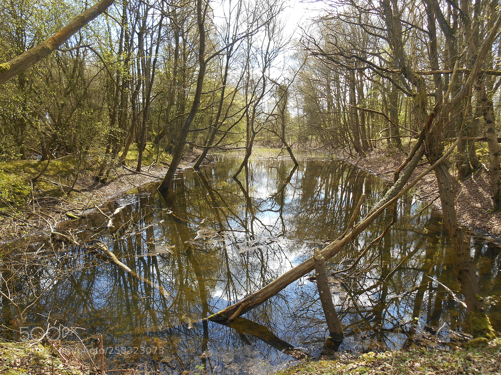 Nikon Coolpix S3500 sample photo. Brandon marsh photography