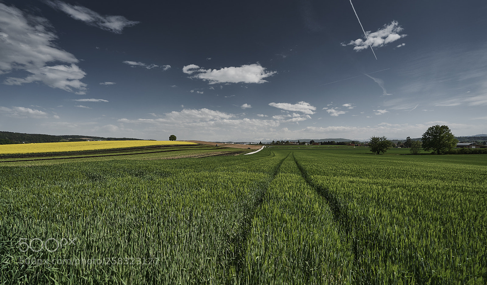 Sony a7R II sample photo. Oberglatt photography