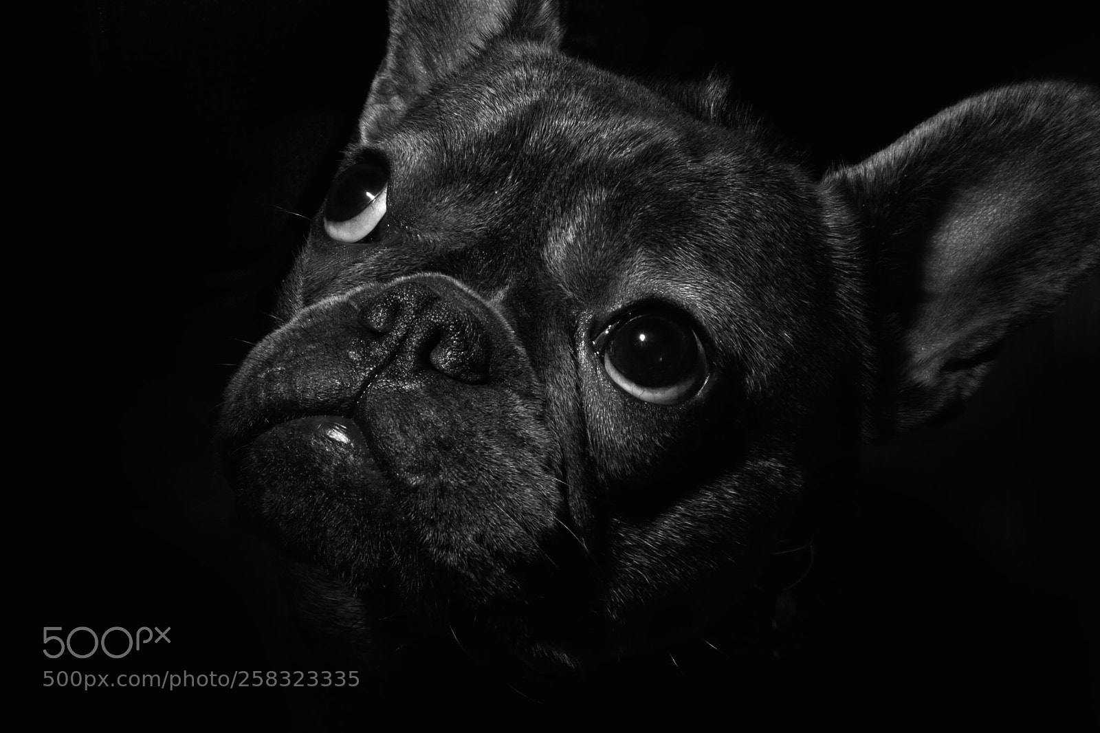 Sony a6000 sample photo. Ellie photography