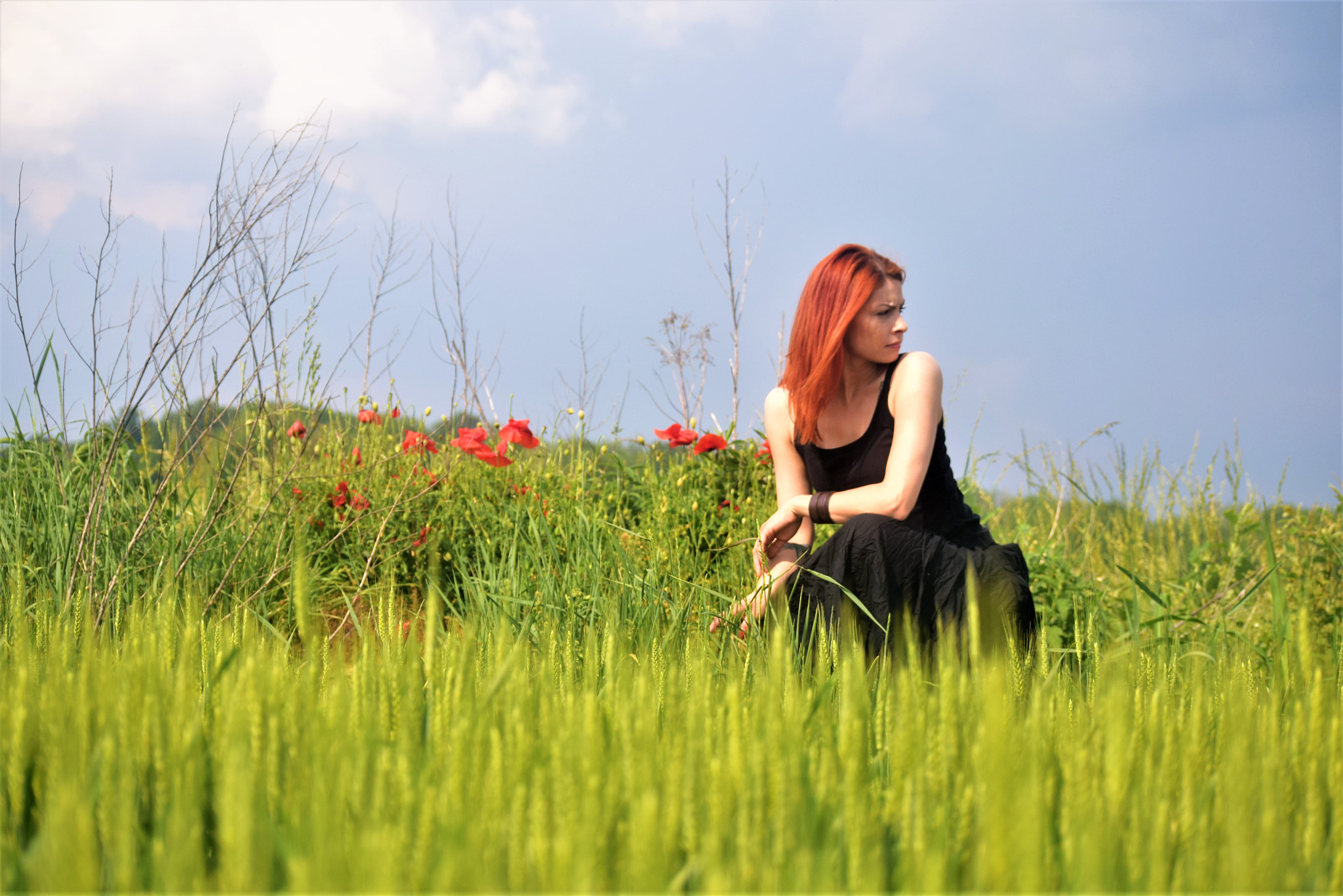 Nikon D3300 sample photo. Red photography