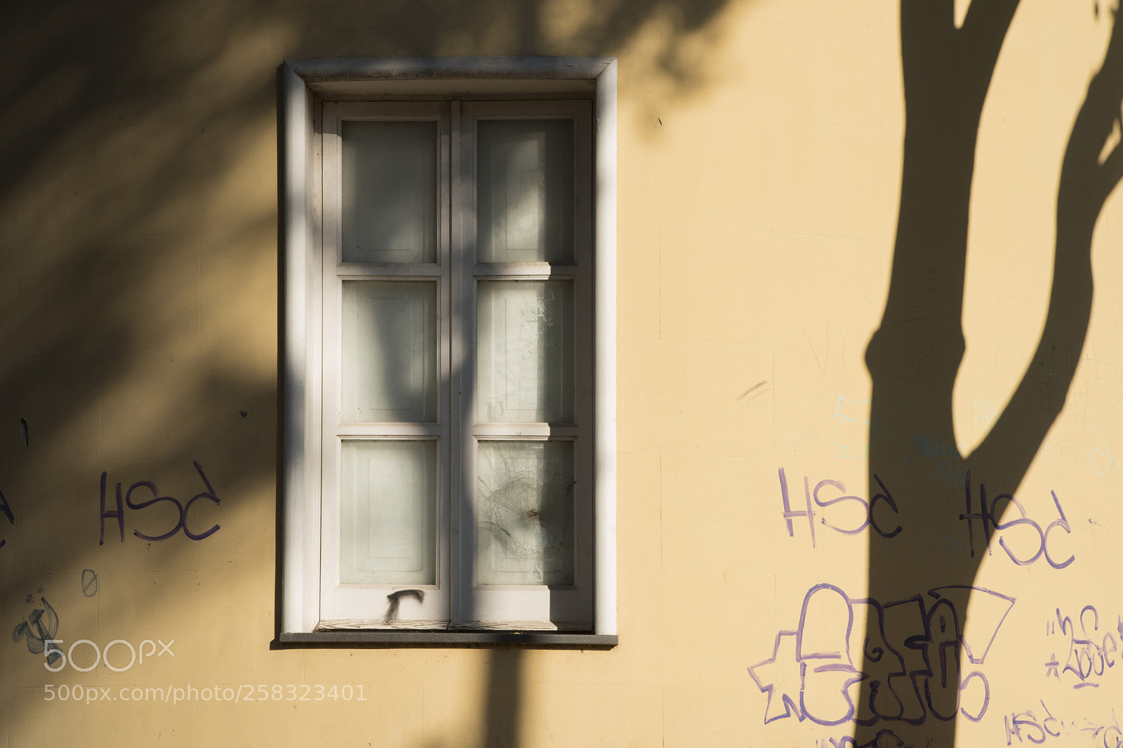 Nikon D750 sample photo. Untitled photography