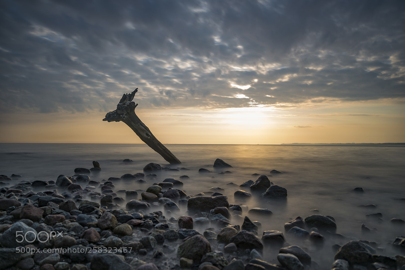 Nikon D750 sample photo. Morning photography