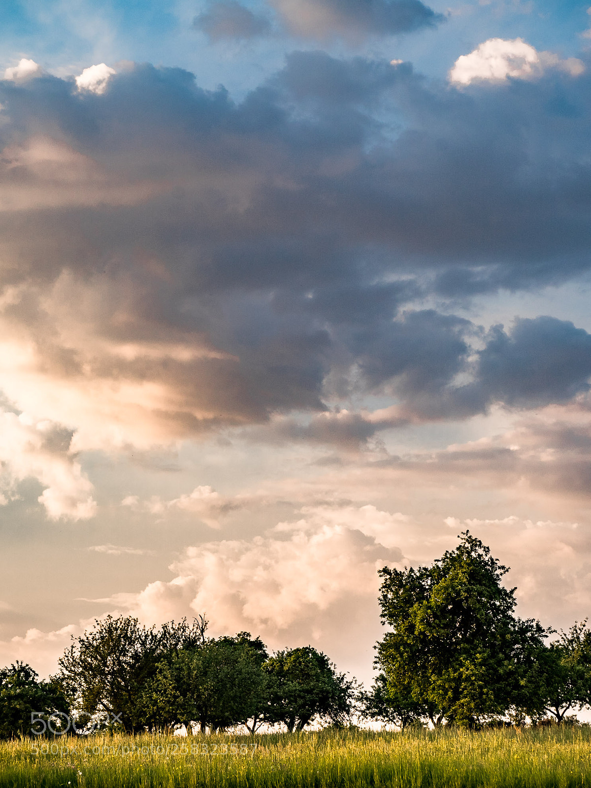 Sony a7 III sample photo. Trees and clouds photography