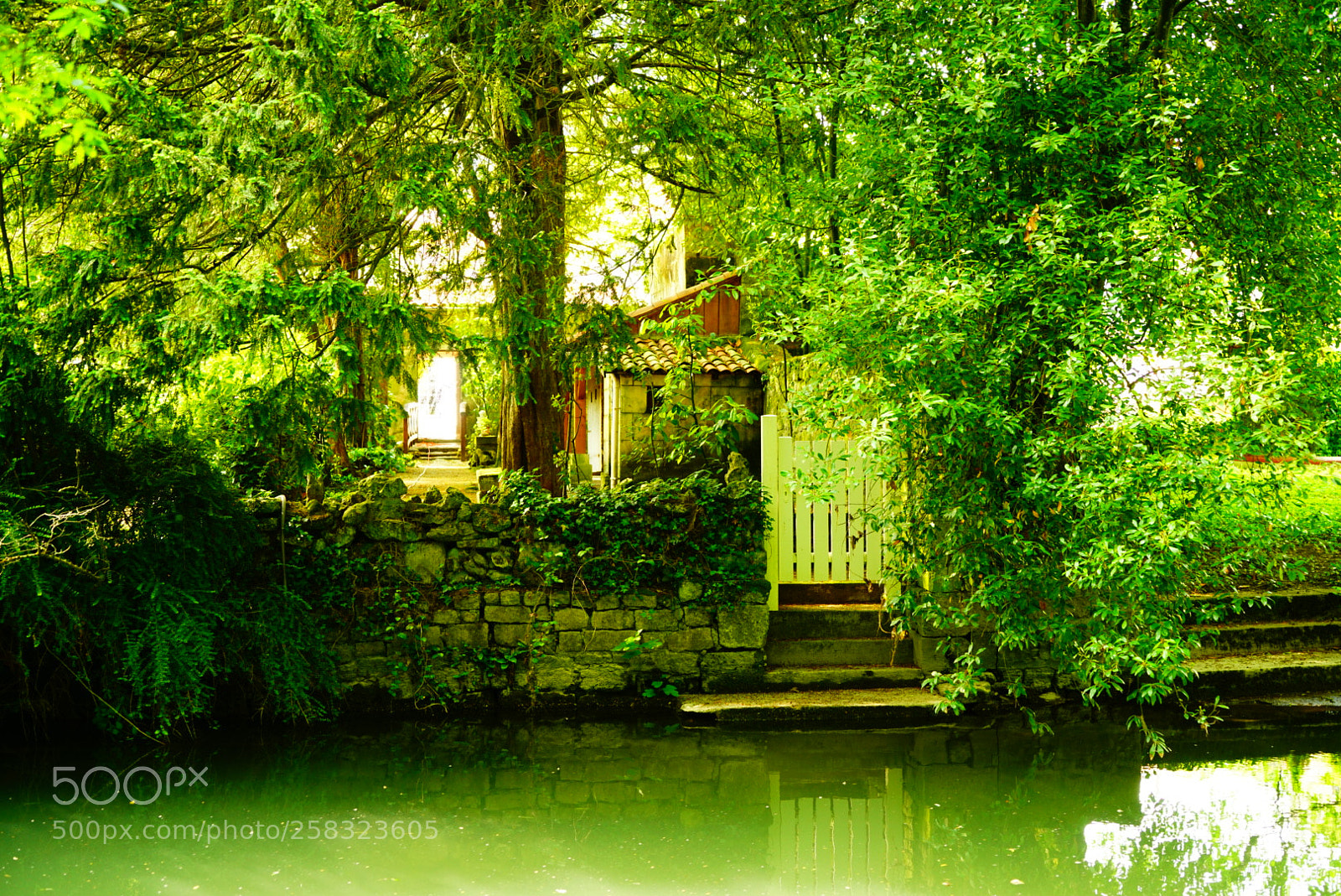 Sony a7R II sample photo. Water backdoor photography