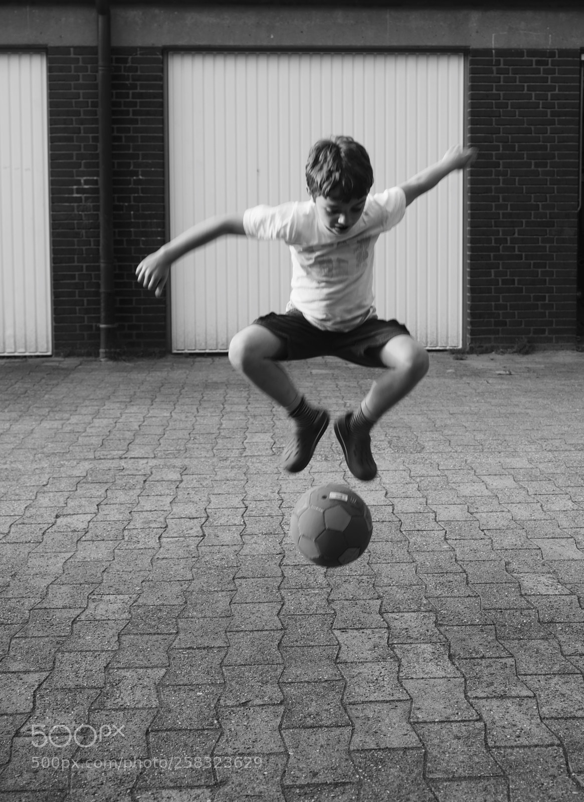 Sony a7R III sample photo. Play with ball photography