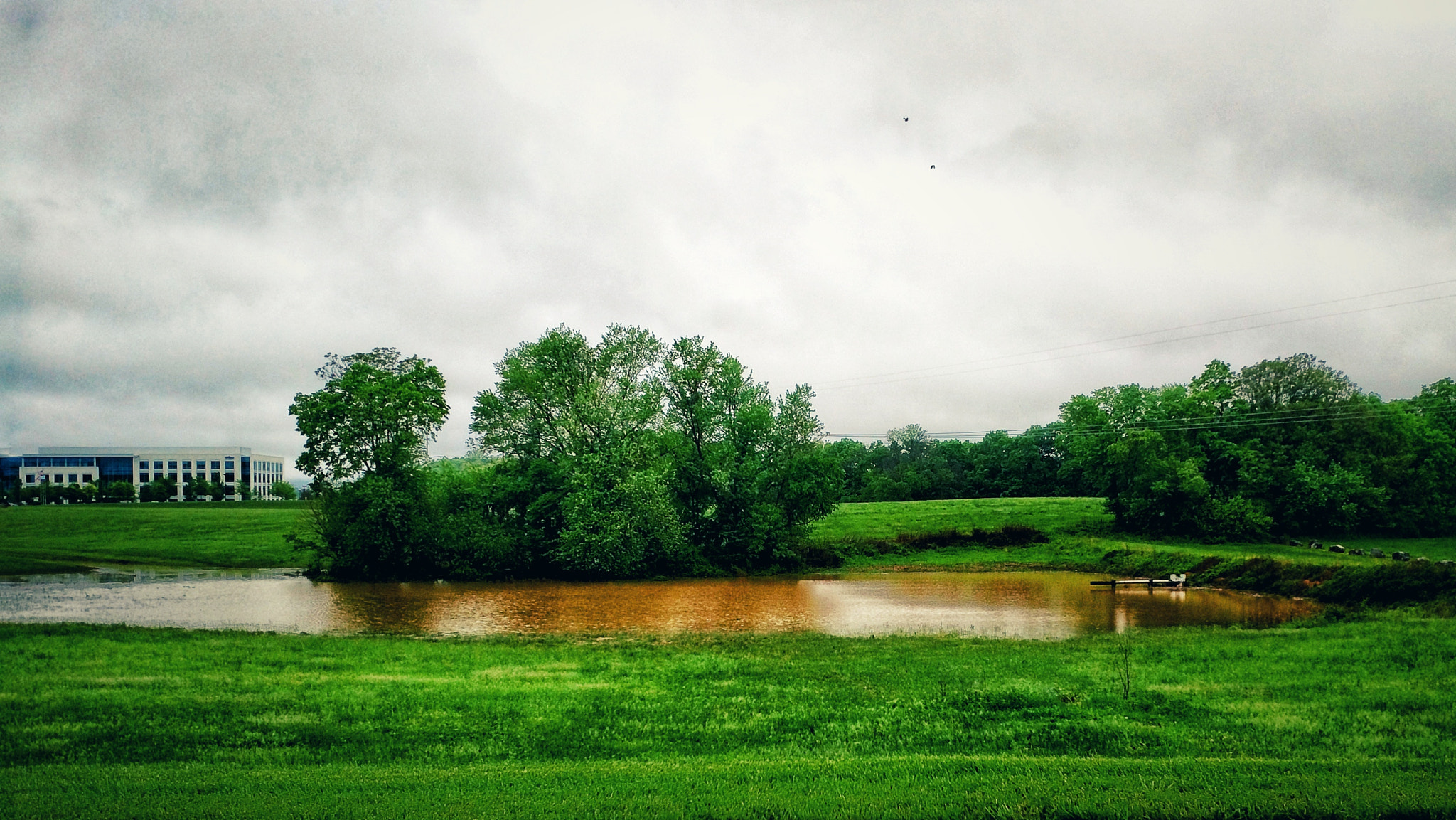 Motorola XT1650 sample photo. After rain photography