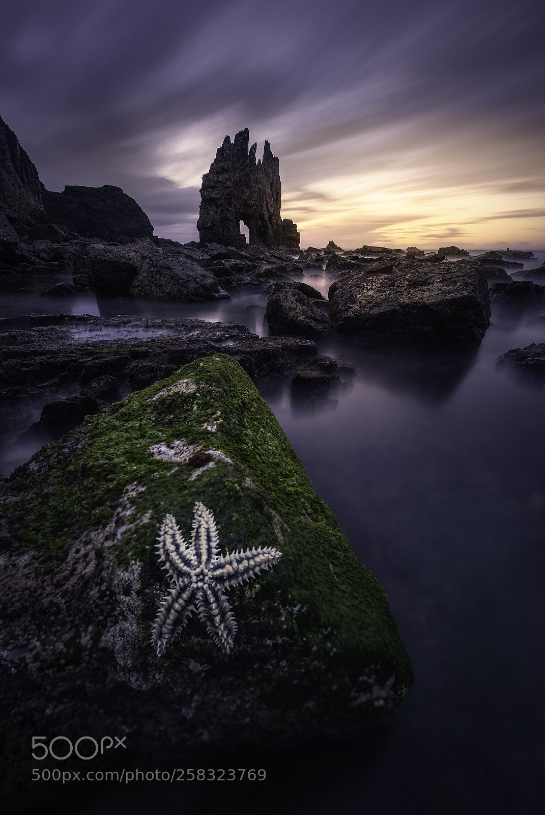 Nikon D810 sample photo. Stars photography