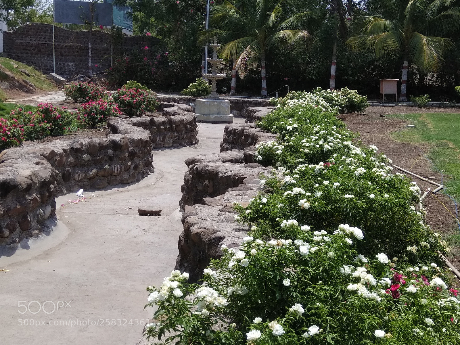 Xiaomi Redmi Note 4 sample photo. Untitled photography