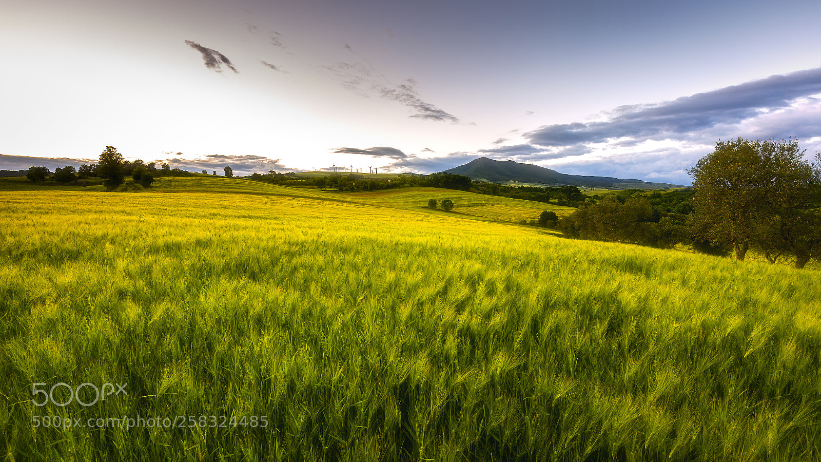 Canon EOS 6D sample photo. Basilicata photography