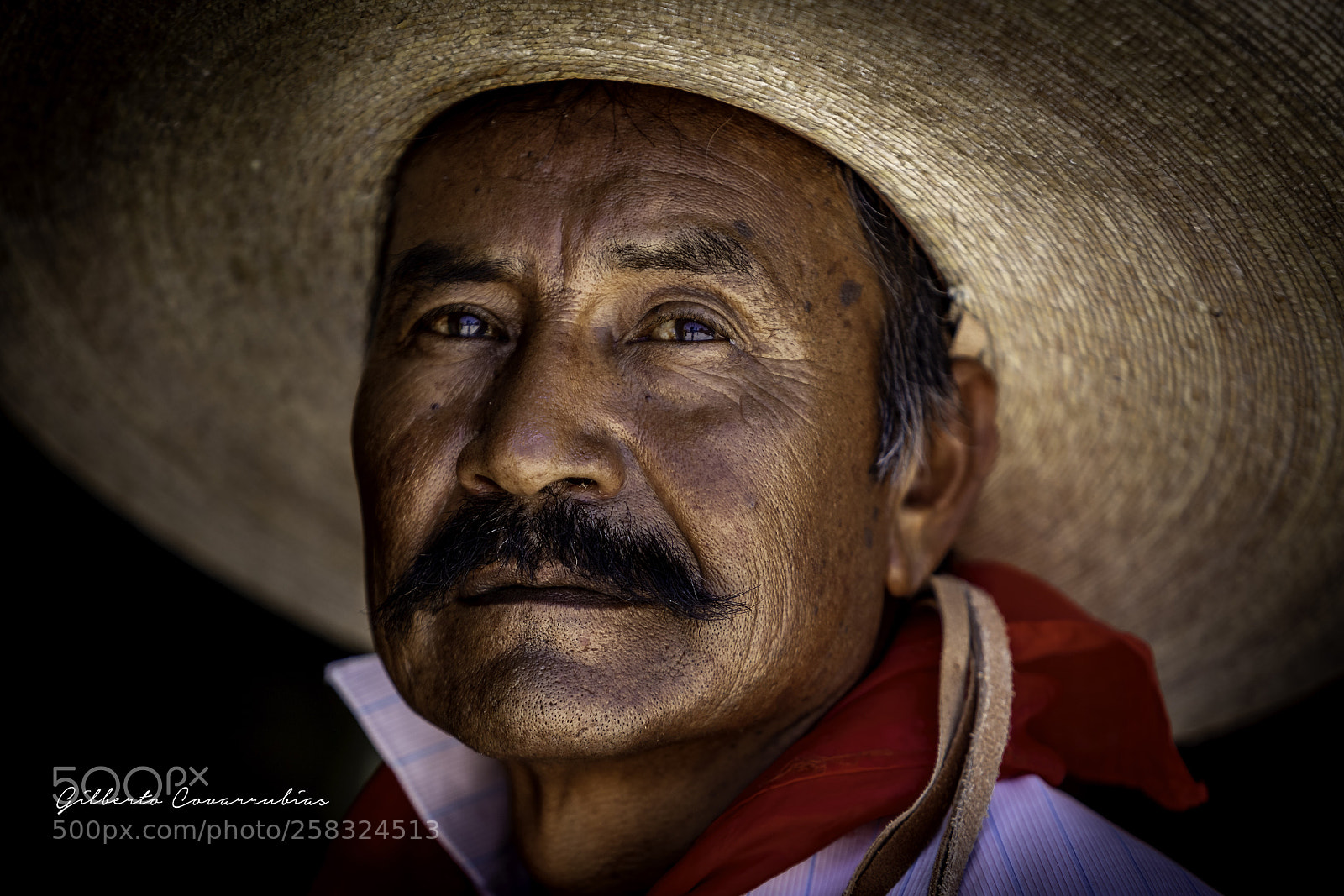 Canon EOS 6D sample photo. Untitled photography