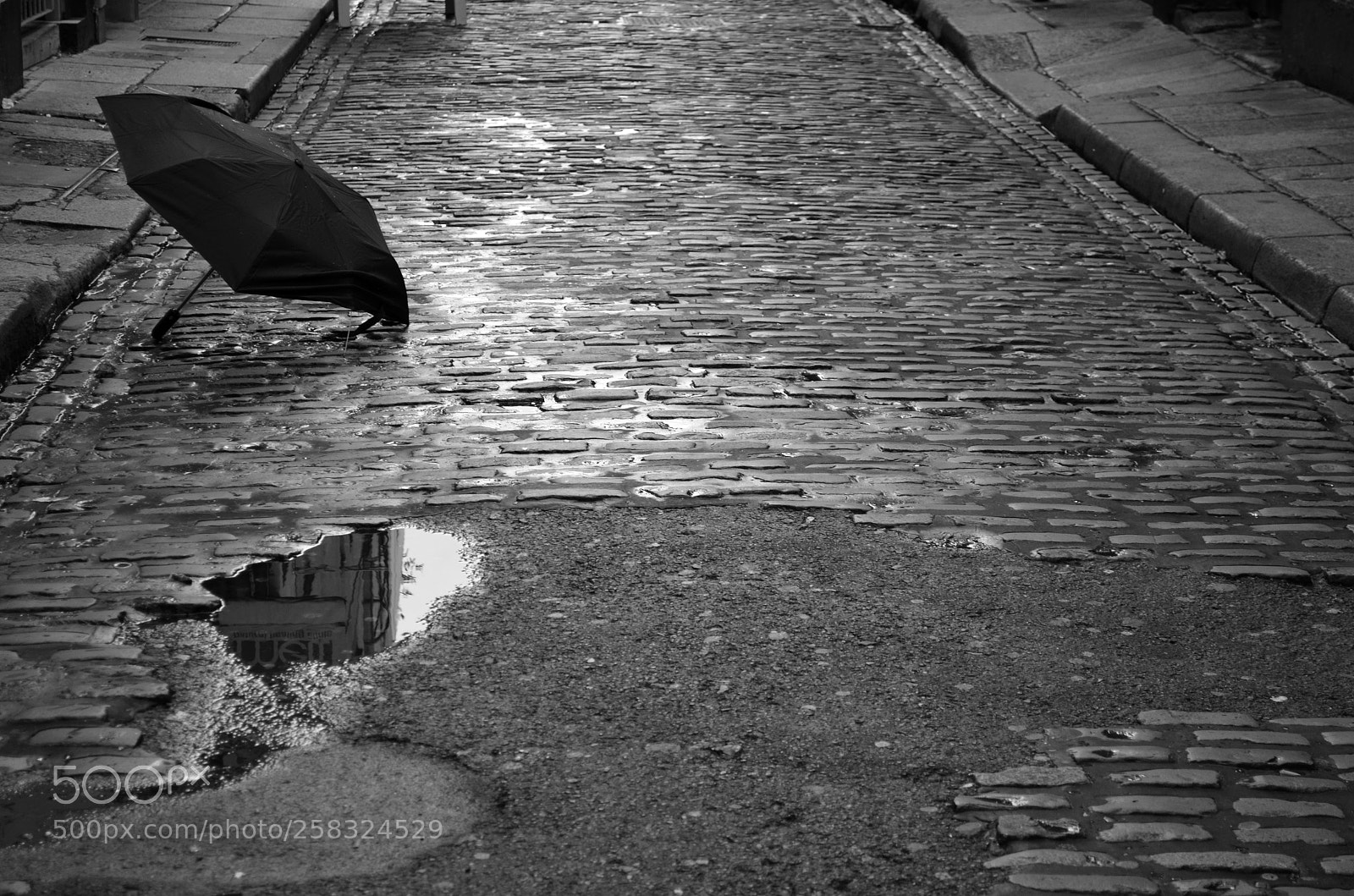 Nikon D5100 sample photo. Umbrella photography