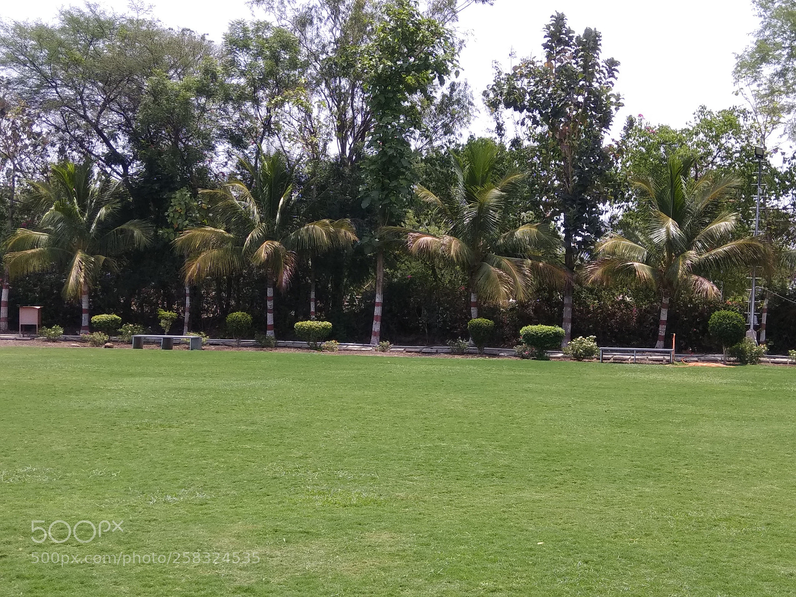 Xiaomi Redmi Note 4 sample photo. Untitled photography