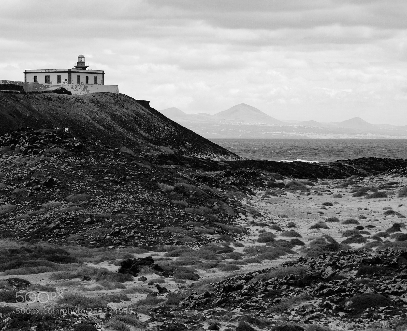 Sony SLT-A58 sample photo. Faro marti o, lobos photography