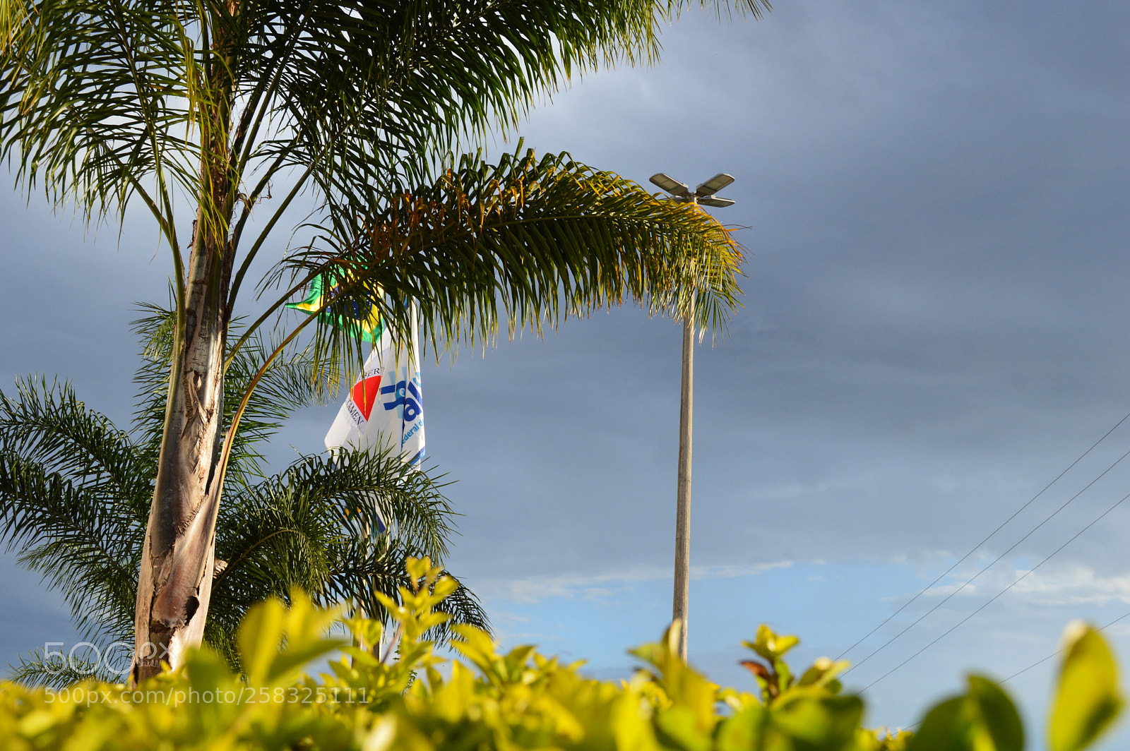 Nikon D3200 sample photo. Bandeiras photography