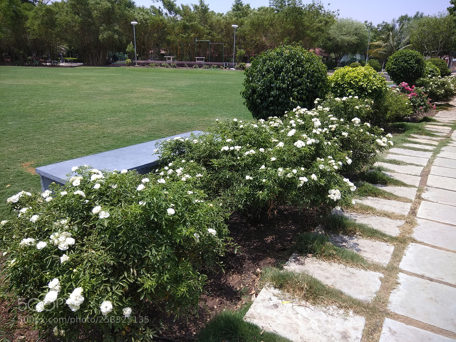 Xiaomi Redmi Note 4 sample photo. Untitled photography