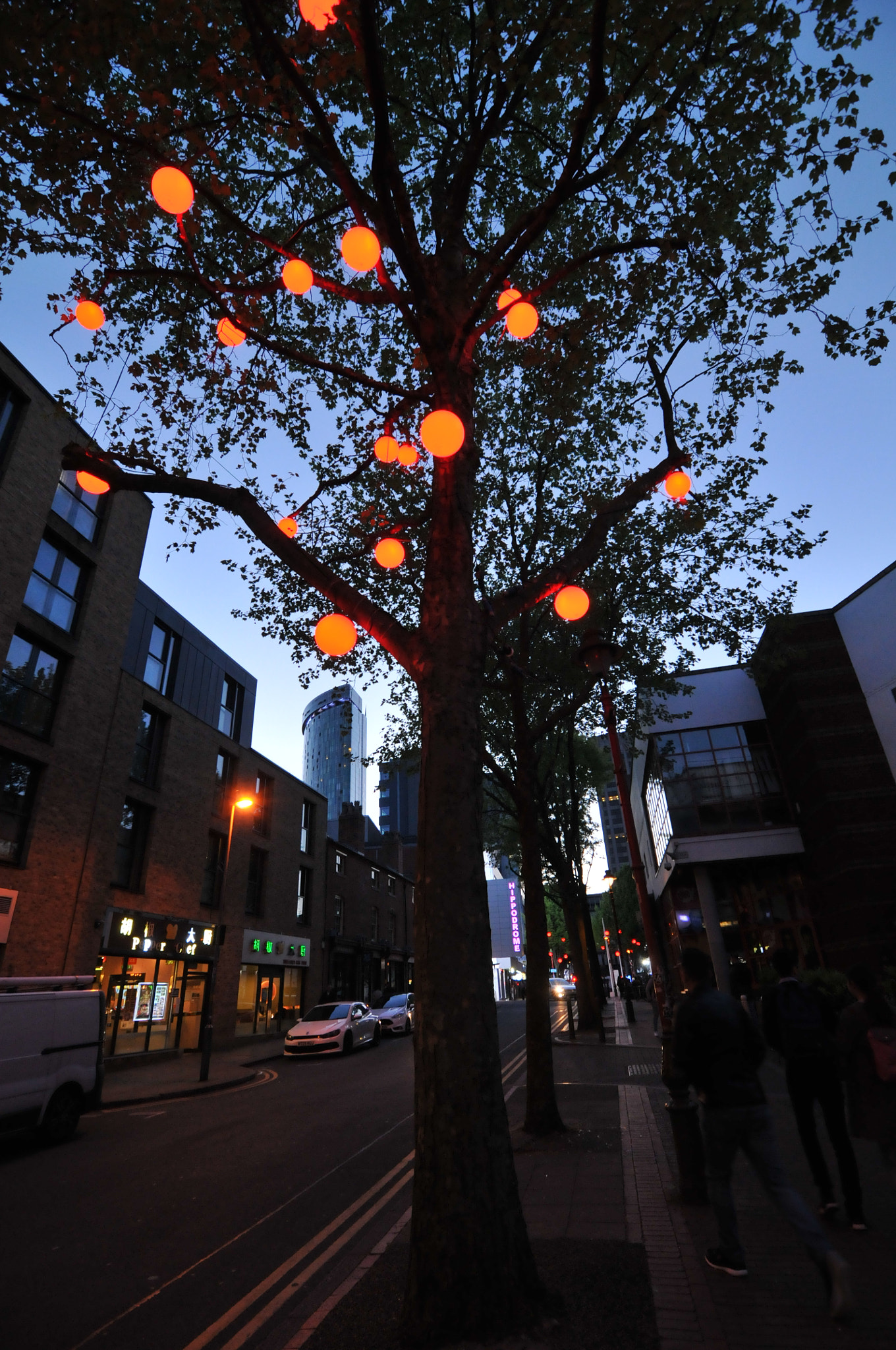 Nikon D300S sample photo. B'ham photography