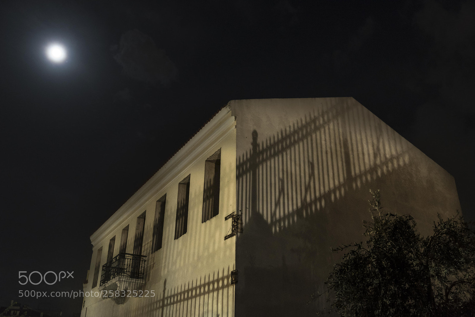 Nikon D750 sample photo. Moonlight shadow photography