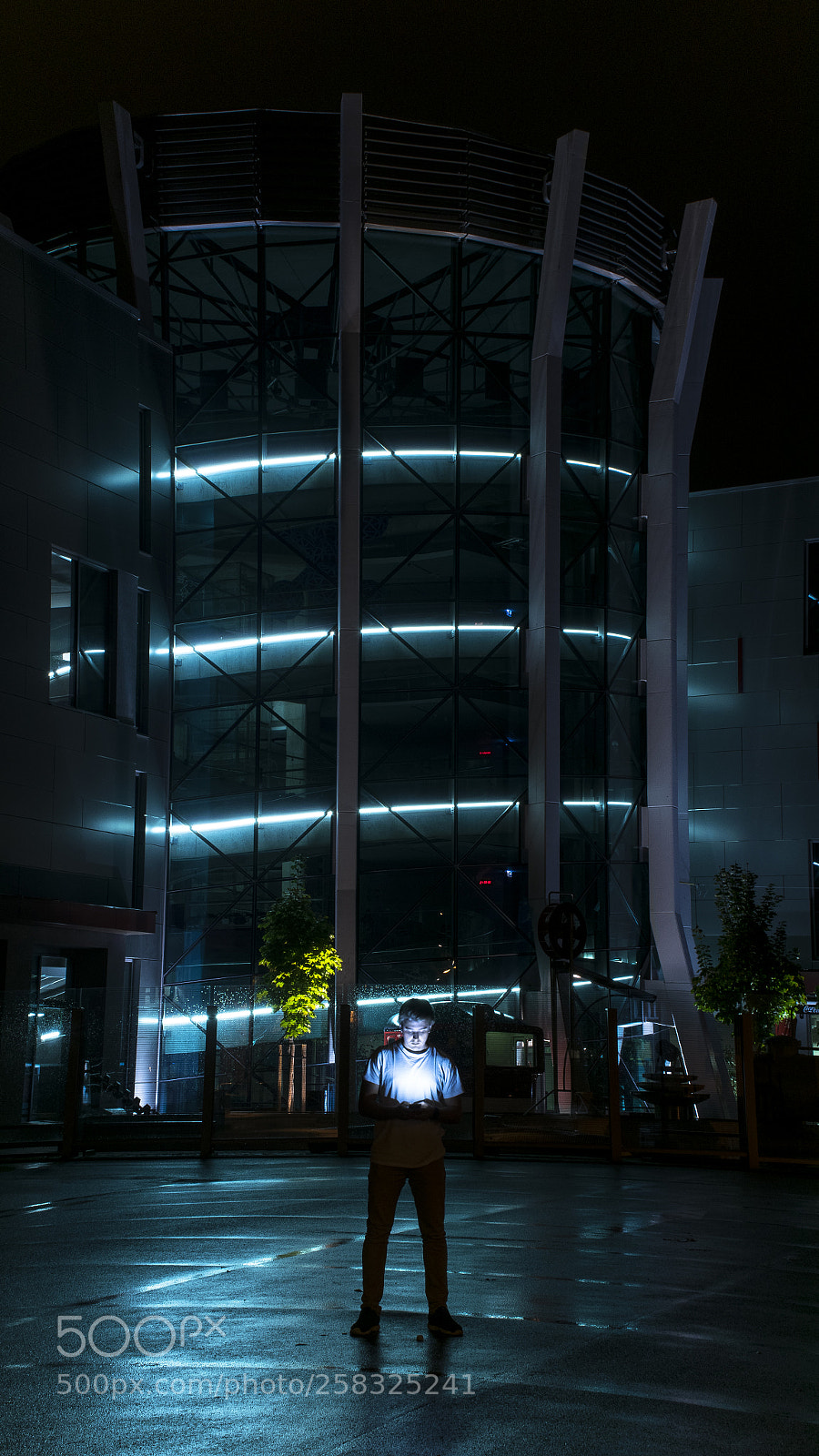 Nikon D3300 sample photo. Light photography