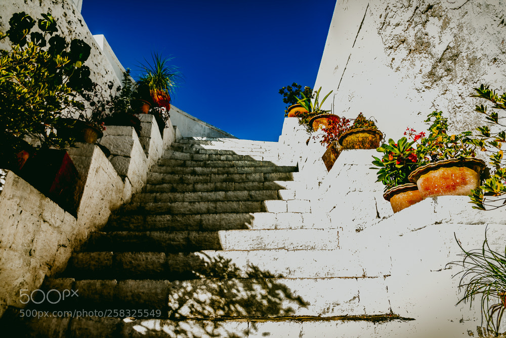Canon EOS 5D Mark IV sample photo. Staircase.. photography