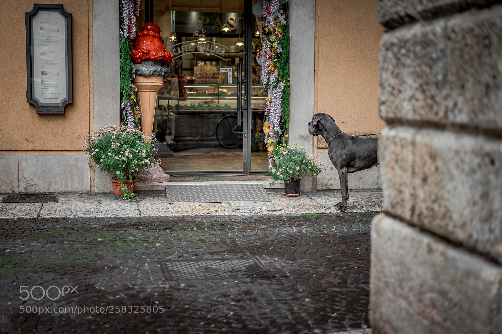 Sony a7 II sample photo. Looks like paradise photography