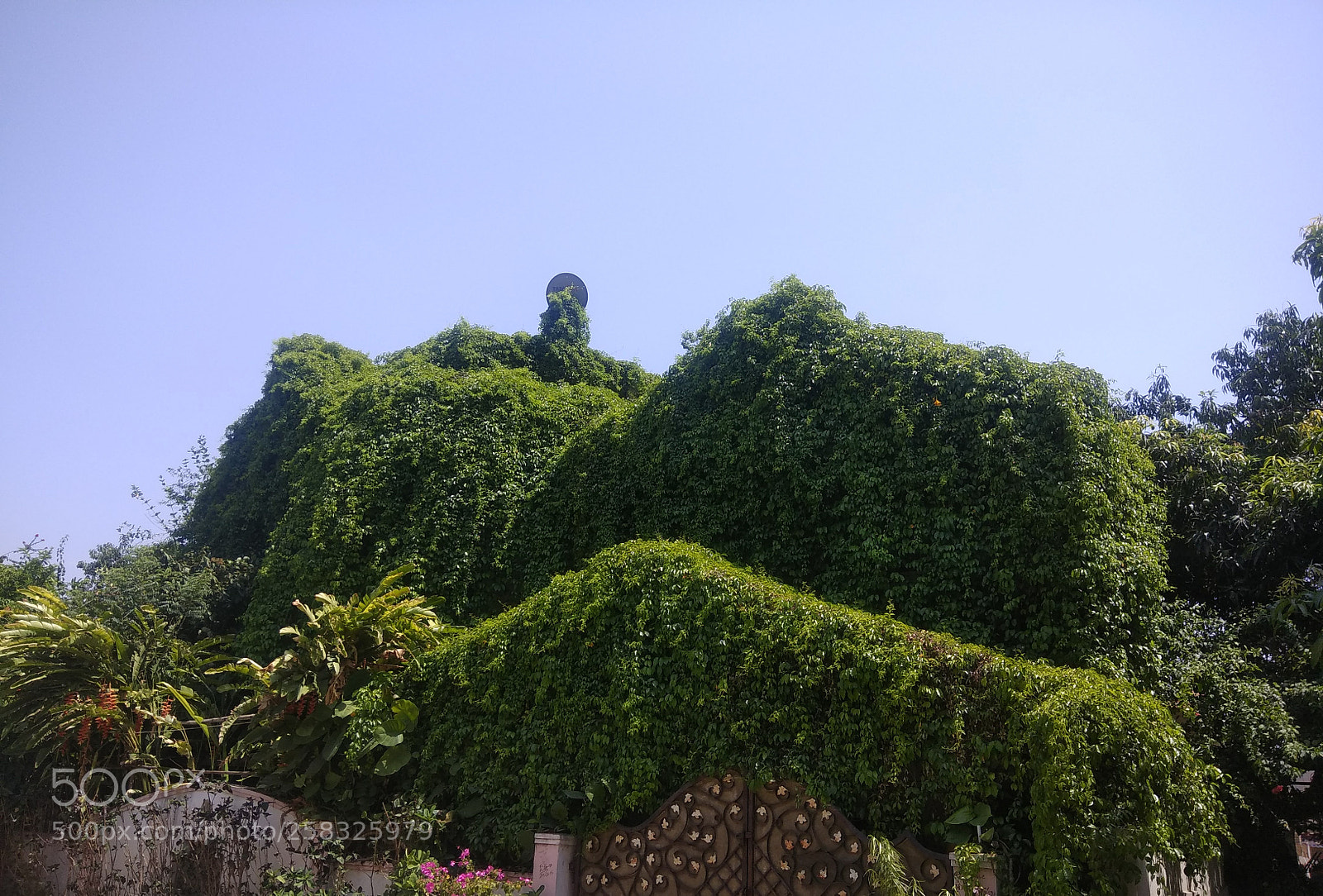 Xiaomi Redmi Note 4 sample photo. Untitled photography