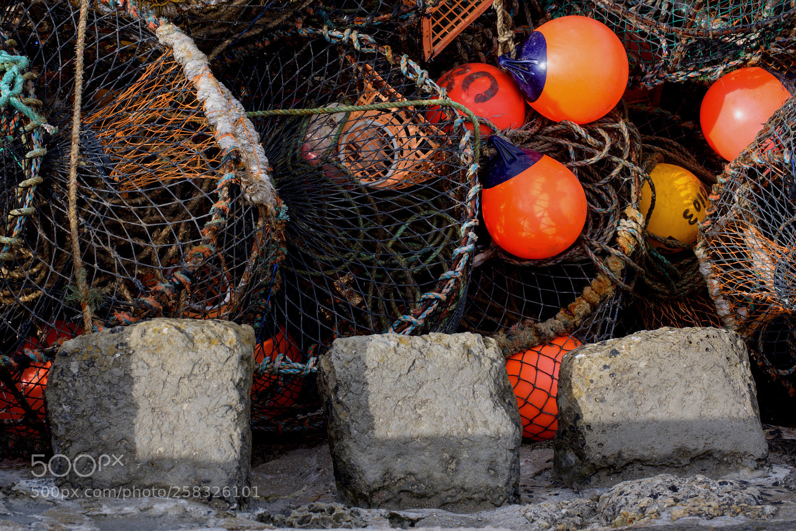 Nikon D810 sample photo. Untitled photography