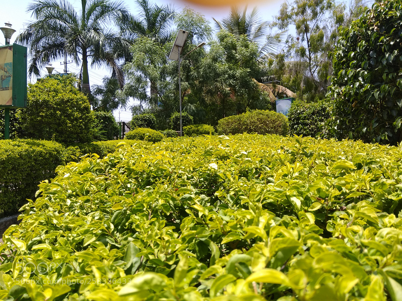 Xiaomi Redmi Note 4 sample photo. Untitled photography