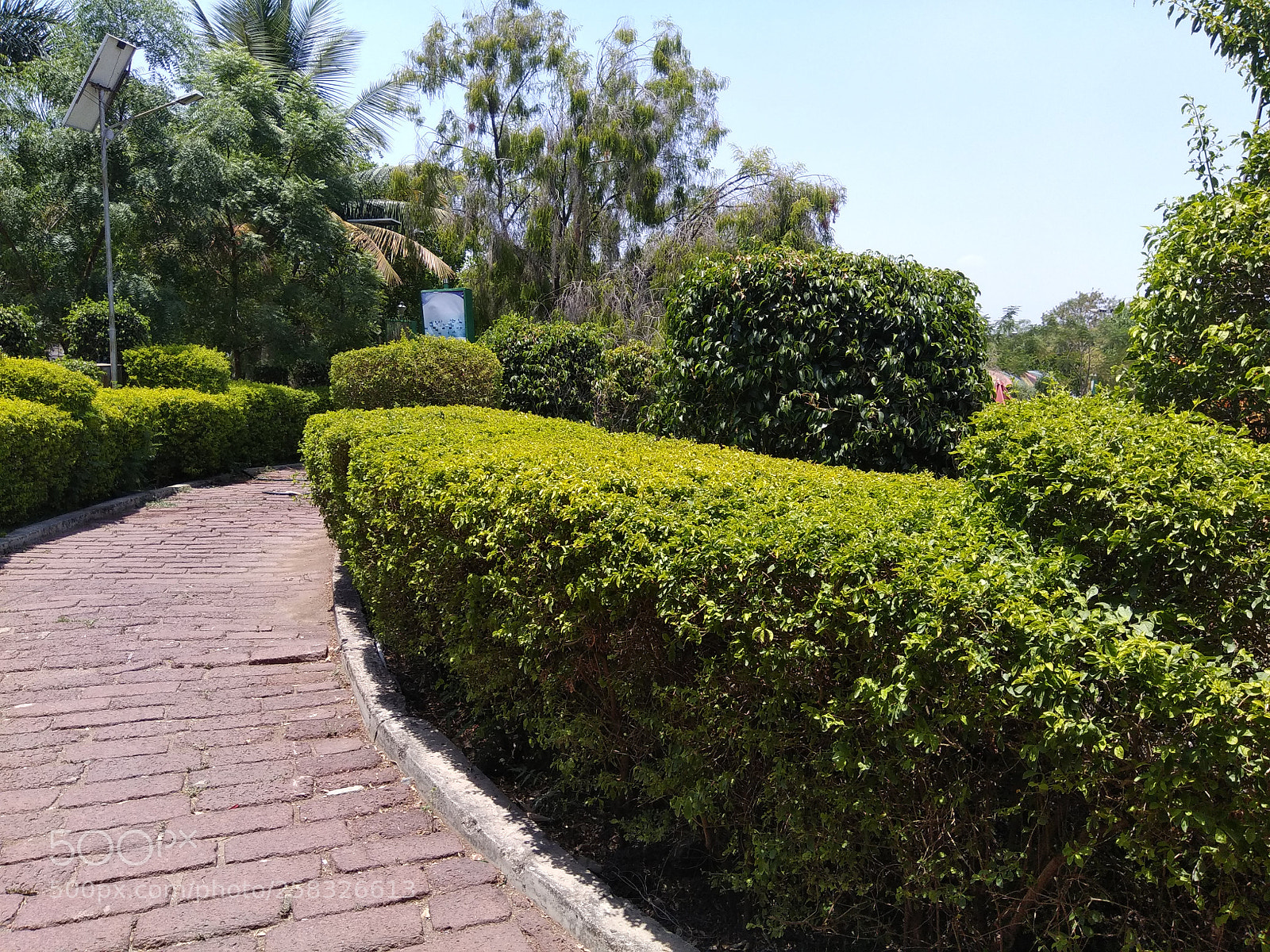 Xiaomi Redmi Note 4 sample photo. Untitled photography